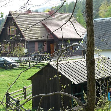 Salamandra Apartment Krempna Exterior photo