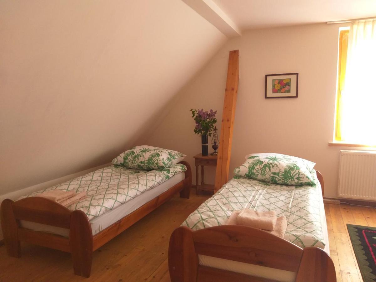 Salamandra Apartment Krempna Exterior photo