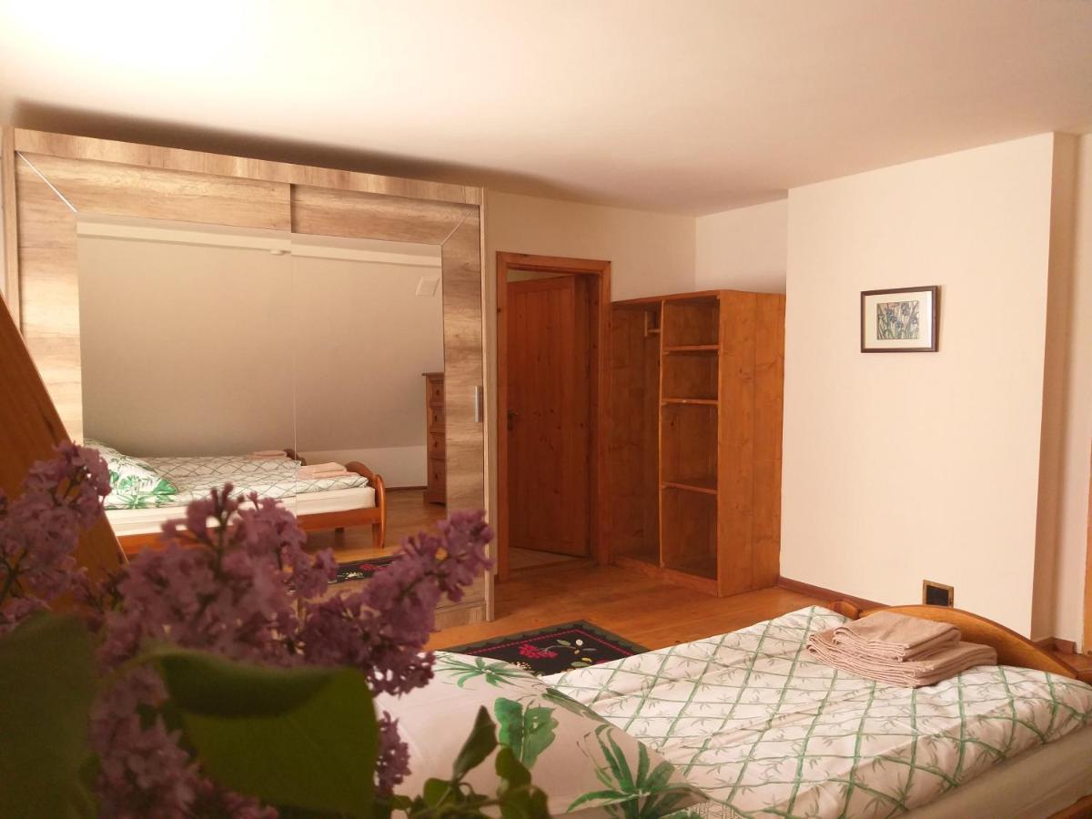 Salamandra Apartment Krempna Exterior photo